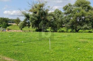 Grundstück zu kaufen in 37318 Hohengandern, GESTALTEN SIE IHR EIGENES ZUHAUSE