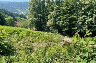 Grundstück zu kaufen in 77883 Ottenhöfen, ERSCHAFFEN SIE IHREN WOHNTRAUM IM GRÜNEN