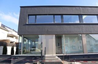 Haus mieten in 74348 Lauffen, ERSTBEZUG: Moderne, exklusive Doppelhaushälfte zur Miete in Lauffen am Neckar