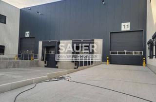 Büro zu mieten in 15831 Blankenfelde-Mahlow, 964 m² Neubauhalle mit Rampe und 1 Tor, inkl. 104 m² Bürofläche, sofort verfügbar *2705*