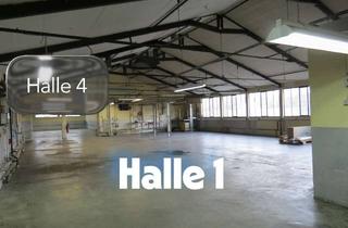 Gewerbeimmobilie kaufen in 74564 Crailsheim, Top Angebot - 3 Produktionshallen + Lager + Bürogebäude + Garagen + 18 Stellplätze in Crailsheim