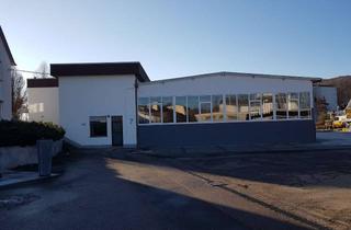 Büro zu mieten in Talstraße, 73249 Wernau, Halle mit Büro und Freifläche