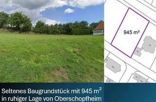 Grundstück zu kaufen in 77948 Friesenheim, Traumgrundstück in Friesenheim-Oberschopfheim – 945 m² für Ihr neues Zuhause