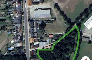 Grundstück zu kaufen in Magdeburger Straße, 39261 Zerbst, Großes Naturgrundstück mit möglicher Bebauung - Zerbst Magedeburger Straße 39261