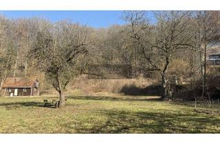 Grundstück zu kaufen in 95339 Wirsberg, Großzügiges Baugrundstück in idyllischer ruhige Lage in Wirsberg