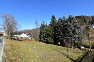 Grundstück zu kaufen in 09434 Krumhermersdorf, Baugundstück in Krumhermersdorf