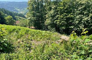 Grundstück zu kaufen in 77883 Ottenhöfen, ERSCHAFFEN SIE IHREN WOHNTRAUM IM GRÜNEN