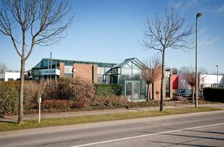 Büro zu mieten in 41812 Erkelenz, Repräsentative Büroflächen in Erkelenz.