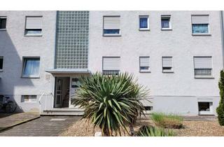 Wohnung mieten in Rheinstraße 26, 63533 Mainhausen, Attraktive 3-Zimmer Wohnung (Souterrain) in Mainhausen, voll renoviert