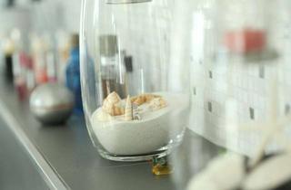 Haus kaufen in 15328 Golzow, Dein Zuhause. Deine Freiheit. Dein Leben.