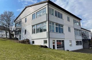 Gewerbeimmobilie mieten in Im Grund 24/1, 72469 Meßstetten, Gewerbehalle in Meßstetten zu vermieten