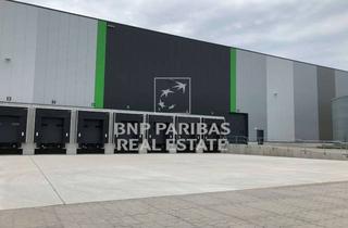 Gewerbeimmobilie mieten in 63814 Mainaschaff, Neubau-Logistikflächen mit perfekter Anbindung bei Aschaffenburg - PROVISIONSFREI