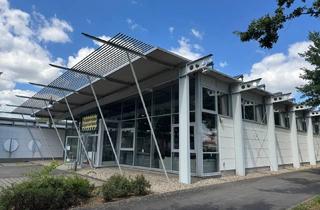 Gewerbeimmobilie mieten in 67377 Gommersheim, Gläserne, transparente Gewerbehalle, Fläche teilbar