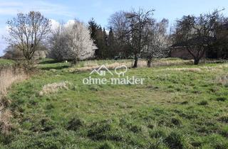 Immobilie kaufen in Zur Rönnwettern 35, 25370 Seester, Grundstück in bester Randlage am Wasser