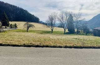 Immobilie kaufen in 72805 Lichtenstein, Unverbaubares Traumgrundstück ! Jetzt diese Möglichkeit sichern !