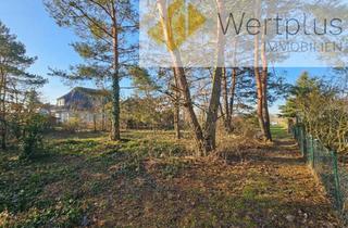 Immobilie kaufen in 29468 Bergen, Baugrundstück auf schöner Anhöhe im Wendland