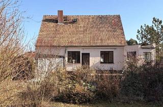 Einfamilienhaus kaufen in 04683 Naunhof, Naunhof - Haus im Dornröschenschlaf.