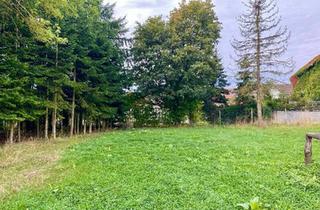 Bauernhaus kaufen in 55595 Hargesheim, Hargesheim - Außergewöhnliches Bauernhaus in ruhiger Lage im Grünen