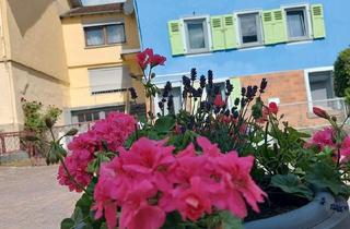 Haus kaufen in 56329 St. Goar, Sankt Goar - Kleines blaues Haeuschen am Rhein