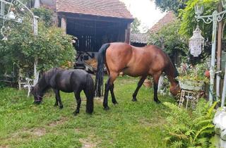 Bauernhaus kaufen in 39307 Genthin, Genthin - Bauernhof zu verkaufen