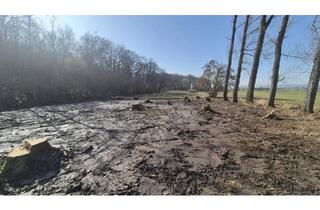 Haus kaufen in 61191 Rosbach, Rosbach vor der Höhe - GRUNDSTÜCK IM Naturschutzgebiet