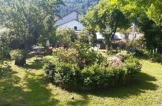 Haus kaufen in 56841 Traben-Trarbach, Traben-Trarbach - großes Haus in Traben-Trarbach Mosel 900 qm Wfl. + Nfl.