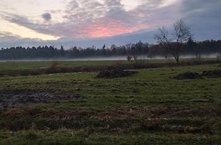 Bauernhaus kaufen in 34537 Bad Wildungen, Bad Wildungen - FachwerkhausBauernhaus