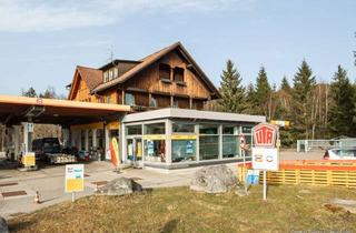 Wohnung kaufen in 79874 Breitnau, Renditestarke Kapitalanlage: 2 Wohnungen + 6 überdachte Stellplätze im Paket zum Kauf