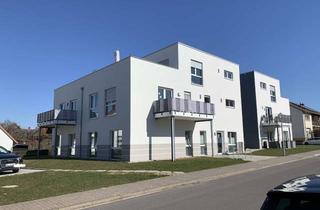 Penthouse mieten in Kampweg 1a, 37133 Friedland, Penthouse 2,5 Zi-Wg mit 73qm & 32qm Dachterrasse in Groß Schneen