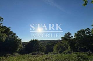 Haus kaufen in 65812 Bad Soden, „Denke immer daran, dass es nur eine wichtige Zeit gibt: Heute. Hier. Jetzt.“ – Leo Tolstoi