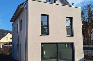 Einfamilienhaus kaufen in 93105 Tegernheim, Sofort Einziehen! Neubau Einfamilienhaus mit Dachterrasse