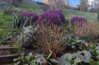 Haus kaufen in 76530 Innenstadt, Werthaltige Kapitalanlage im Herzen der Stadt- sehr gepflegtes MFH mit 4 WE und Renditepotenzial