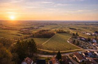 Grundstück zu kaufen in 76835 Burrweiler, Filetstück in Burrweiler – 701 m² Baugrundstück mit spektakulärem Blick über die Weinberge
