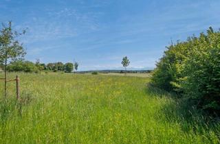 Grundstück zu kaufen in 82396 Pähl, BAUGRUNDSTÜCK MIT PANORAMA-BERGBLICK