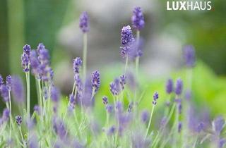 Grundstück zu kaufen in 76227 Durlach, NEU in Durlach mit BLICK: Tolles Grundstück in sehr ruhiger Wohnlage!