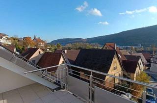 Wohnung mieten in Obere Gasse, 74653 Ingelfingen, 4 Zimmer Maisonettewohnung Neubau in schöner Lage von Criesbach