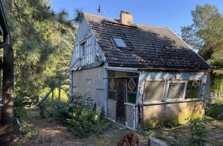 Haus kaufen in 16307 Gartz (Oder), Idyllisch gelegenes Haus mit Weitblick in der Uckermark
