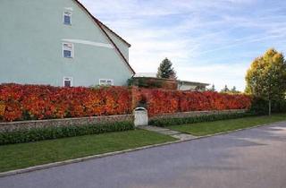 Doppelhaushälfte kaufen in 17268 Templin, Templin - KEINE KÄUFERPROVISION FÄLLIG!