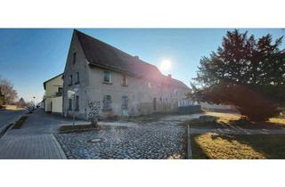 Mehrfamilienhaus kaufen in 06682 Teuchern, Teuchern - Mehrfamilienhaus und gewerbliche Fläche, ehm. Gasthaus