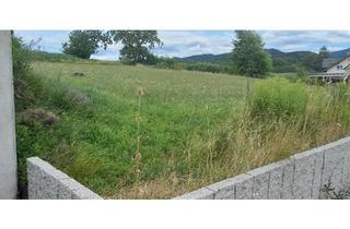 Wohnung kaufen in 79379 Müllheim, Müllheim - 2 Barrierefreie EigentumswohnungenWohneinheiten (Aufzug)