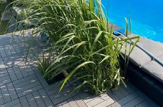 Einfamilienhaus kaufen in 30900 Wedemark, Wedemark - Wedemark-komplett sanierter Bungalow mit Pool zu verkaufen