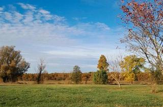 Villa kaufen in 38642 Goslar, Goslar - Villa nahe Sudmerberg kein Denkmalschutz