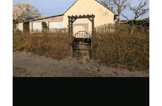 Haus kaufen in 39307 Genthin, Genthin - Schrebergarten mit massivem Haus und großem gewächshaus