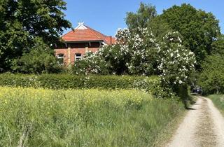Wohnung mieten in 21400 Reinstorf, Großzügige 4-Zimmer-Wohnung im Landkreis Lüneburg