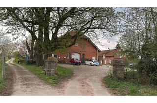 Wohnung mieten in 21400 Reinstorf, Großzügige 4-Zimmer-Wohnung in idyllischer Umgebung im Landkreis Lüneburg