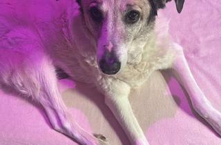 WG-Zimmer mieten in 97688 Bad Kissingen, 250 € - 125 m² - 3.0 Zi.