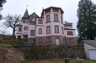 Villa kaufen in 57334 Bad Laasphe, Traumhafte Villa mit riesigem Grundstück und Ferienhaus - Sanierungsobjekt