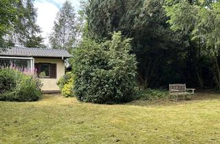 Haus kaufen in Dorfstraße 13 a, 54619 Reiff, Kleiner Bungalow mit großem Grundstück in der Eifel