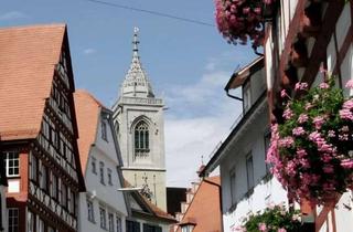 Mehrfamilienhaus kaufen in 88630 Pfullendorf, Charmantes Mehrfamilienhaus wartet, frisch renoviert, auf Kapitalanleger!