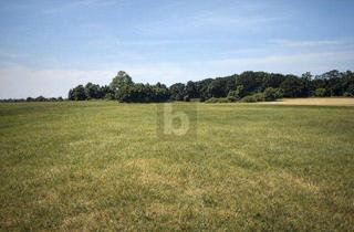 Grundstück zu kaufen in 18573 Dreschvitz, GROßZÜGIGE GRÜNLANDFLÄCHE